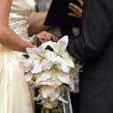 AUST_QLD_Townsville_2009OCT02_Wedding_MITCHELL_Ceremony_051.jpg